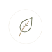 ICON2-removebg-preview