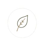 ICON2-removebg-preview