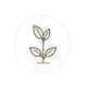 ICON6-removebg-preview